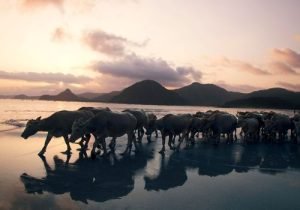 wisata lombok tengah terbaru