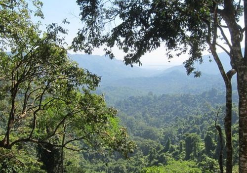 Hutan Pusuk Lombok Utara
