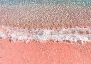 pantai pink lombok